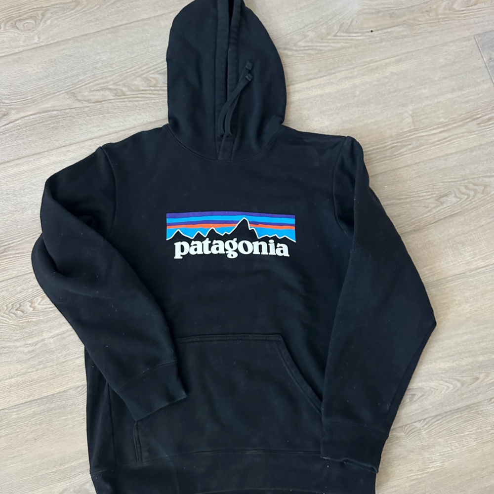 Patagonia Sweatshirt - Hoodie